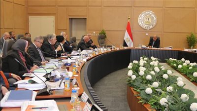 عصمت: إتاحة الطاقة الكهربائية بجودة واستقرار واستمرارية على مختلف الجهود 