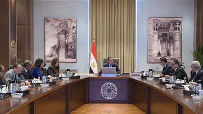 رئيس الوزراء يتابع جهود فض التشابكات المالية بين 