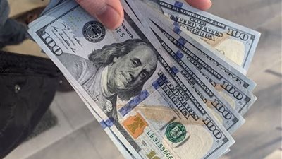 سعر الدولار في البنوك المصرية صباح اليوم الأحد 19 يناير 2025