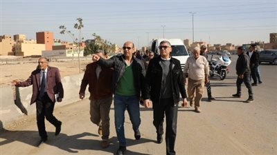 محافظ الجيزة يتفقد أعمال التشجير بالطريق الدائري