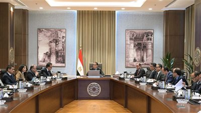 رئيس الوزراء يتابع موقف توافر الأدوية والمستلزمات الطبية وسداد مستحقات الشركات