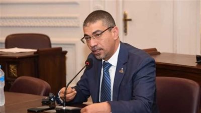 صحة الشيوخ: وقف إطلاق النار في غزة أثبت أن مصر الحصن الحصين للقضية الفلسطينية