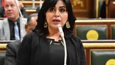 برلمانية: الرئيس وضع المواطن أمام الصورة الكاملة للأزمات التى تمر بها البلاد