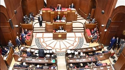 مجلس الشيوخ يعلن رفضه القاطع لتهجير الفلسطينيين من أرضهم