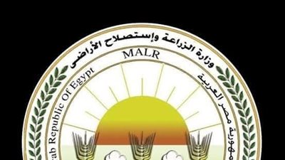 الزراعه: فتح باب استيراد كتاكيت التسمين والبياض والبيض المخصب لضبط الأسعار