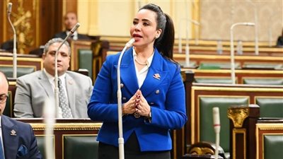 نائبة التنسيقية تتقدم بمشروع تعديل قانون العمل بشأن 