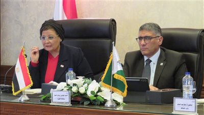 نائب وزير الصحة لتنمية الأسرة تشارك في اجتماع المجلس الإقليمي للسكان بمحافظة الجيزة