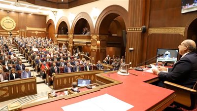 مجلس الشيوخ يناقش خطة الحكومة لرفع كفاءة قطاع التأمين وتسريع التحول الرقمى