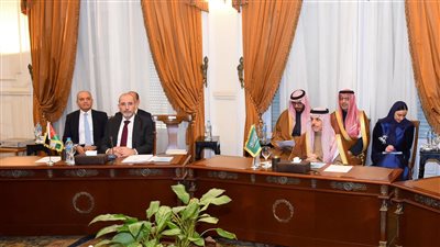 بيان مصرى وعربى مشترك يؤكد رفض تهجير الفلسطينيين من أرضهم