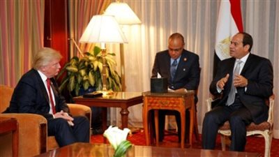 حقوق إنسان النواب: اتصال الرئيس السيسى وترامب تتويج لجهود مصر فى دعم قضية فلسطين