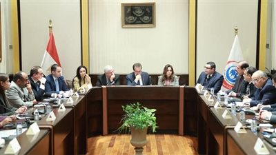 وزير الصحة يرأس الاجتماع الوزراي الأول للجنة التنفيذية الخاصة باستقبال المصابين الفلسطنيين