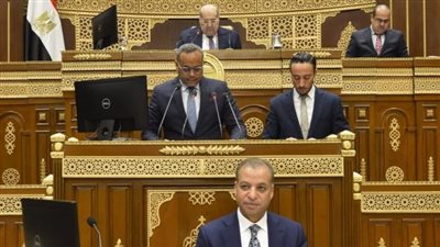 رئيس الرقابة المالية: ندرس مقترحات لتأمينات إلزامية جديدة وعرضها على الحكومة