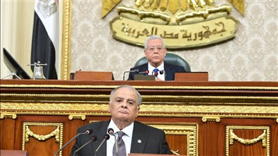 رئيس النواب: مصر دولة مؤسسات ولا يوجد فيها قوانين سيئة السمعة