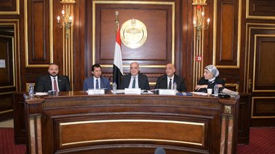 رئيس مشروعات النواب: المصريون صفا واحدا فى الظروف الصعبة والتاريخ شاهد