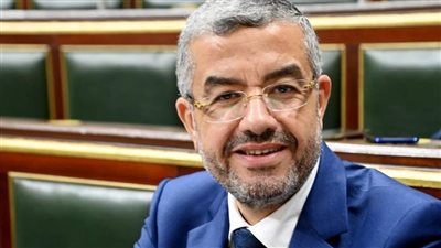 النائب عماد حموده: البرلمان يقف خلف القيادة السياسية ضد أي محاولات لتهجير الفلسطينيين