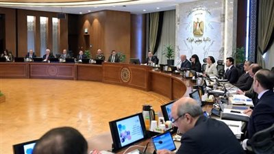 رئيس الوزراء: استمرار جهود الدولة في  ضمان التنفيذ الكامل لوقف إطلاق النار في غزة