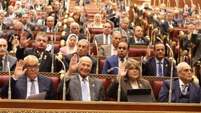 مجلس الشيوخ يناقش خطة الحكومة لإقامة المدن والمجمعات الصناعية المتخصصة