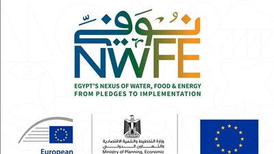 المشاط تُنظم مائدة مستديرة لاستعراض النتائج الأولية للدراسات الخاصة بمشروع 