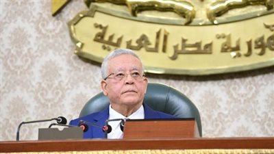 تنسيقية الأحزاب: سيناء خط أحمر ولن نقبل بتهجير الفلسطينيين أو تصفية قضيتهم