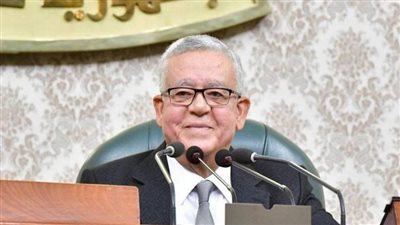 رئيس النواب: مصر وفرت حماية دبلوماسية لإجهاض مُخططات تهجير الشعب الفلسطينى