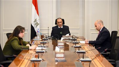 وزير الخارجية والهجرة يشارك في اللقاء الافتراضى مع الجالية المصرية في فرنسا