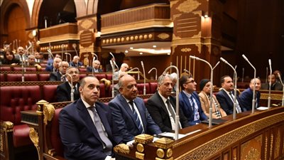 فوزي يحضر جلسة مجلس الشيوخ لمناقشة ثلاثة طلبات مناقشة عامة بشأن استغلال وادي السيليكون وتحديات قطاع الكهرباء 