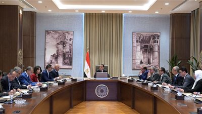 رئيس الوزراء يتابع جهود الحد من عمليات التهريب وإغراق الأسواق المصرية