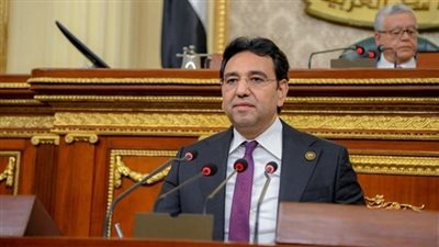 أيمن محسب: القمة العربية بالقاهرة خطوة نحو موقف عربى موحد بشأن فلسطين