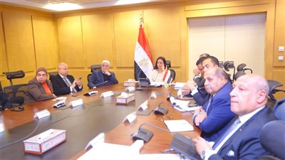 وزيرة التضامن الاجتماعي تترأس اجتماع مجلس إدارة صندوق نظام تأمين الأسرة