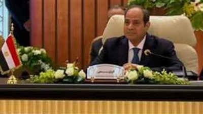 ننشر نص كلمة الرئيس السيسي في القمة العربية الطارئة