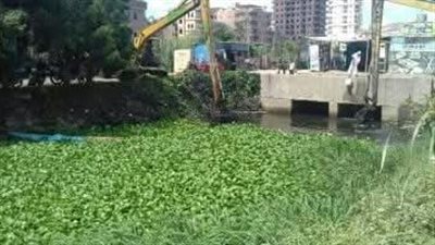 خشانة يوجه الشكر لـ محافظ السويس لإستجابتة بتطهير الترعة من نبات ورد النيل