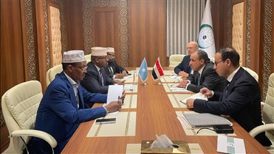 وزير الخارجية والهجرة يعقد لقاءً مع نظيره الصومالي على هامش الاجتماع الاستثنائي لمنظمة التعاون الإسلامي
