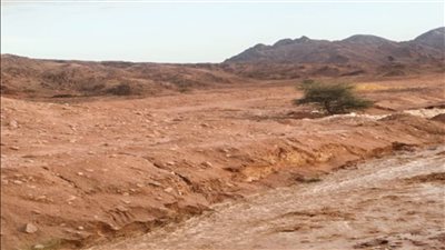 سويلم يتابع موقف العاصفة المطيره التى تعرضت لها محافظة جنوب سيناء