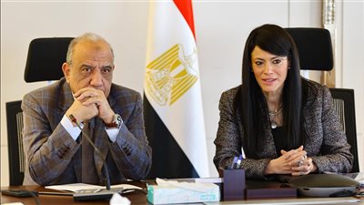 «المشاط»: قطاع الكهرباء والطاقة ركيزة أساسية لتحقيق التنمية الاقتصادية ودفع النمو