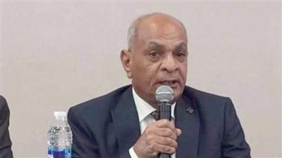 رئيس حزب الريادة: الشهداء وأسرهم على رأس اهتمامات الرئيس السيسي