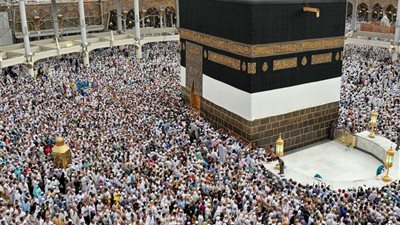 إحترس.. شركات وهمية تصدر تأشيرات 