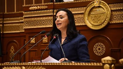 وزيرة التضامن: يتم العمل مع وزارتي المالية والتخطيط والتعاون الدولى لزيادة المخصصات المالية لبرامج الحماية الاجتماعية 