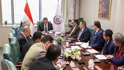 نائب رئيس الوزراء يترأس اجتماعًا لبحث فرص زيادة الاستثمارات العالمية في السوق المصرية