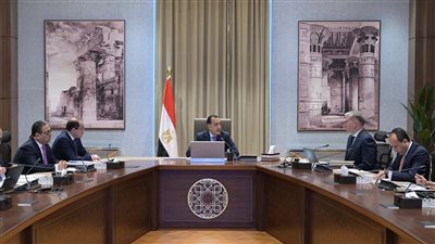 رئيس الوزراء يتابع عددًا من ملفات العمل المشتركة بين وزارتي المالية والبترول والثروة المعدنية