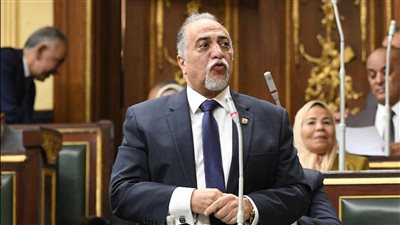 برلمانية حزب مستقبل وطن: العيد يأتى وسط إنجازات للدولة بقيادة الرئيس السيسى