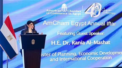 المشاط: مصر تمتلك بنية تحتية تؤهلها لتصبح مركزًا إقليميًا للتجارة الدولية والطاقة الخضراء