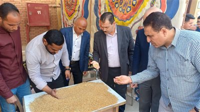 وزير التموين: افتتاح موسم توريد القمح المحلي لعام 2025 بمحافظة الفيوم نظراً لنضج المحصول مبكرًا