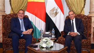 جلسة مشاورات ثنائية بين وزير الخارجية والهجرة ونظيره السيشلي