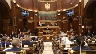 غدا.. مجلس الشيوخ يناقش خطة المالية لتعزيز دور النافذة الواحدة بالجمارك