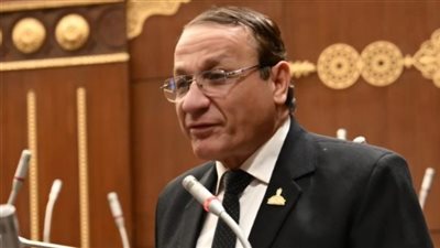 برلمانية حماة الوطن بالشيوخ: الشركات التجارية أحد دعائم الاقتصاد الوطنى