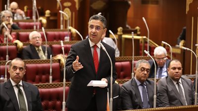 وزير التموين أمام مجلس الشيوخ: الدولة المصرية بقيادة الرئيس تولي ملف الأمن الغذائي والاستقرار المجتمعي أولوية قصوى