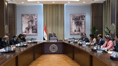 رئيس الوزراء يتابع موقف الطروحات في قطاع الطاقة
