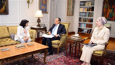 وزير الخارجية والهجرة يلتقي بعضو مجلس النواب الياباني