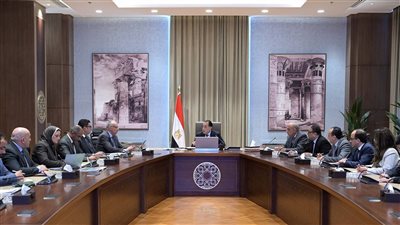 رئيس الوزراء يتابع الموقف التنفيذي لتأمين الاحتياجات الداعمة لمشروعات التنمية الزراعية بالدلتا الجديدة وشمال ووسط سيناء