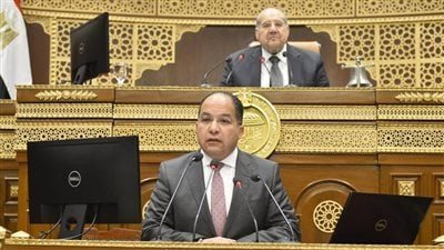 النائب حسن عمار: زيارة ماكرون الأخيرة تعكس جهود الرئيس السيسي الرامية لتعزيز العلاقات الخارجية